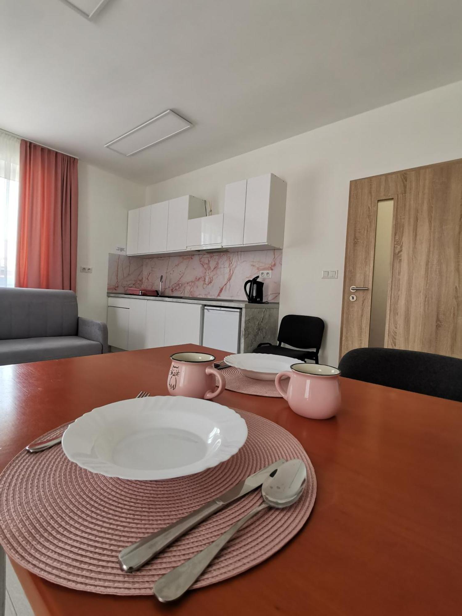 Comenius Apartments - Apartmany Na Rohu Svidnik Eksteriør bilde
